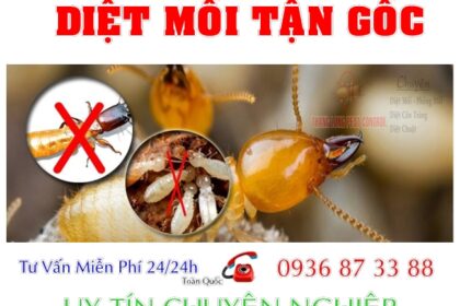 Tự diệt mối bằng nhiều cách khác nhau nhưng muốn đem lại hiệu quả cao mà không độc hại là điều xã hội đang quan tâm.