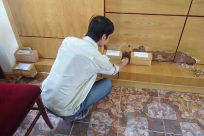 diệt mối Hóc Môn