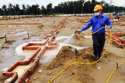 Dự toán chống mối công trình