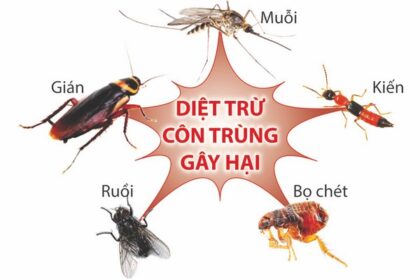 diệt côn trùng tại Hà Tĩnh