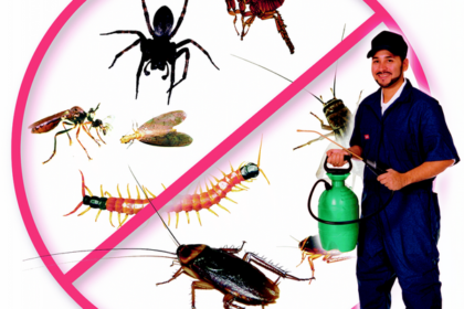 Diệt Côn Trùng Tại Quận 8