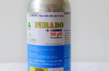 diet-con-trung-quan-9 (2) Diệt Côn Trùng Tại Quận 9