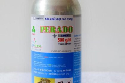 Diệt Côn Trùng Tại Quận 9