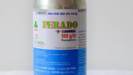 diet-con-trung-quan-9 (2) Diệt Côn Trùng Tại Quận 9