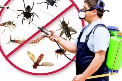 Diệt côn trùng tại Bình Chánh