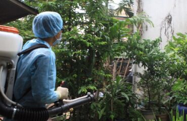 diet-con-trung-tai-hung-yen (2) diệt côn trùng tại Hưng Yên