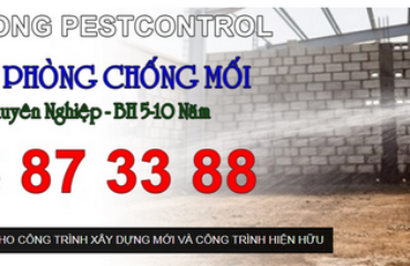 diet-con-trung-tai-thu-duc-1 Diệt Côn Trùng Tại Thủ Đức