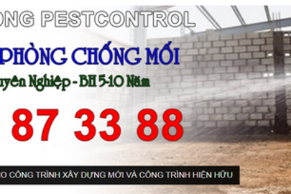 Diệt Côn Trùng Tại Thủ Đức