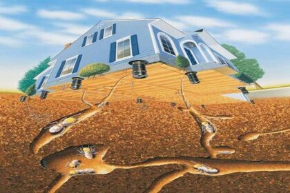 Dịch vụ diệt mối tại Quảng Nam