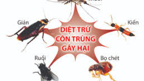 diet con trung thang long