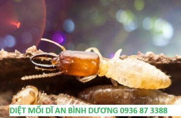 diet moi binh duong