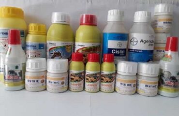 Thuốc diệt mối sinh học – Diệt côn trùng Anh Thư