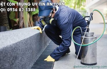 diet con trung66566