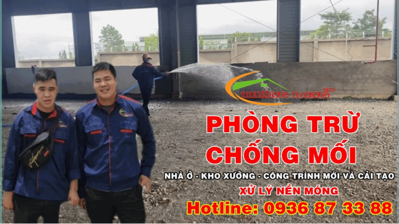 phog chog moi thang long