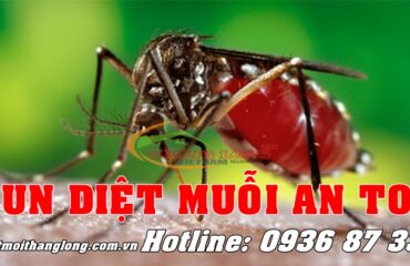 phun diet muoi an toan