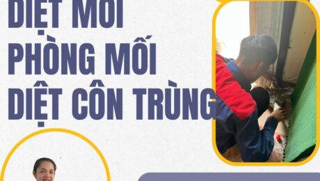 DIET MOI TAI NHA UY TIN