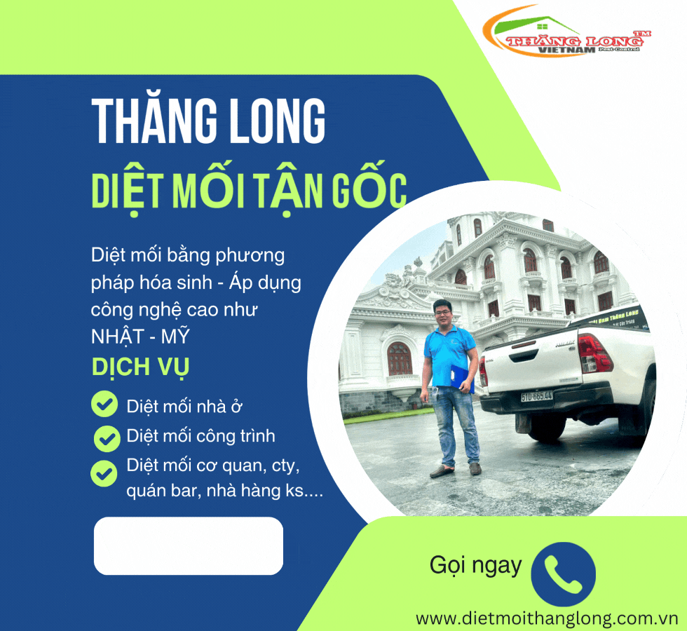 cong ty diet moi gia re thang long