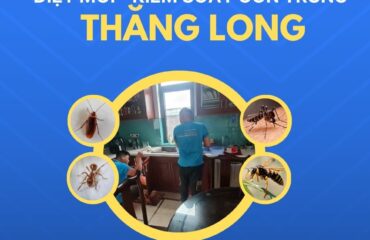 diet moi gia re thang long uy tin